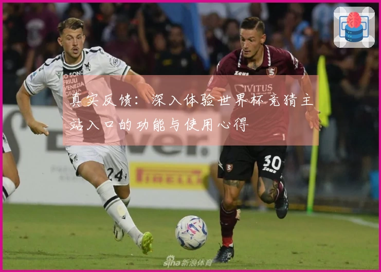 真实反馈：深入体验世界杯竞猜主站入口的功能与使用心得