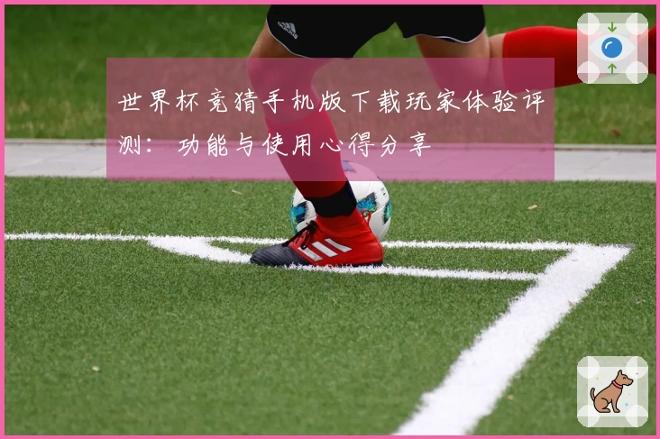 世界杯竞猜手机版下载玩家体验评测：功能与使用心得分享