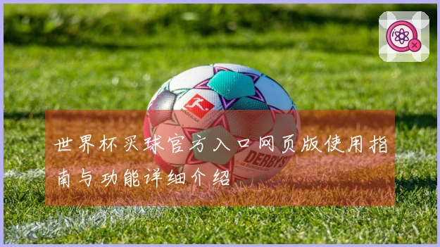 世界杯买球官方入口网页版使用指南与功能详细介绍