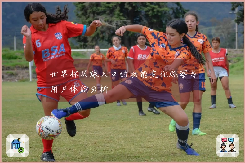 世界杯买球入口的功能变化观察与用户体验分析