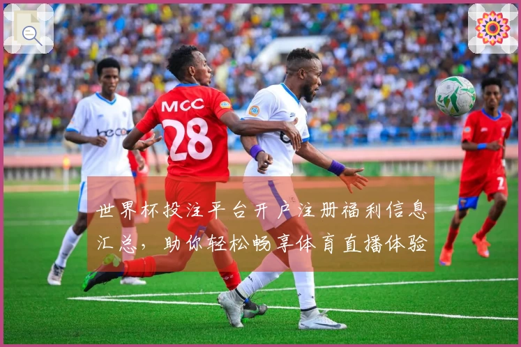 世界杯投注平台开户注册福利信息汇总，助你轻松畅享体育直播体验